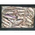 Whole Round Sea-frozen Squid Whole Round Sea Frozen Squid Todarodes Pacificus 150-200g Supplier